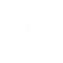 No Line of Sight on Marketing ROI