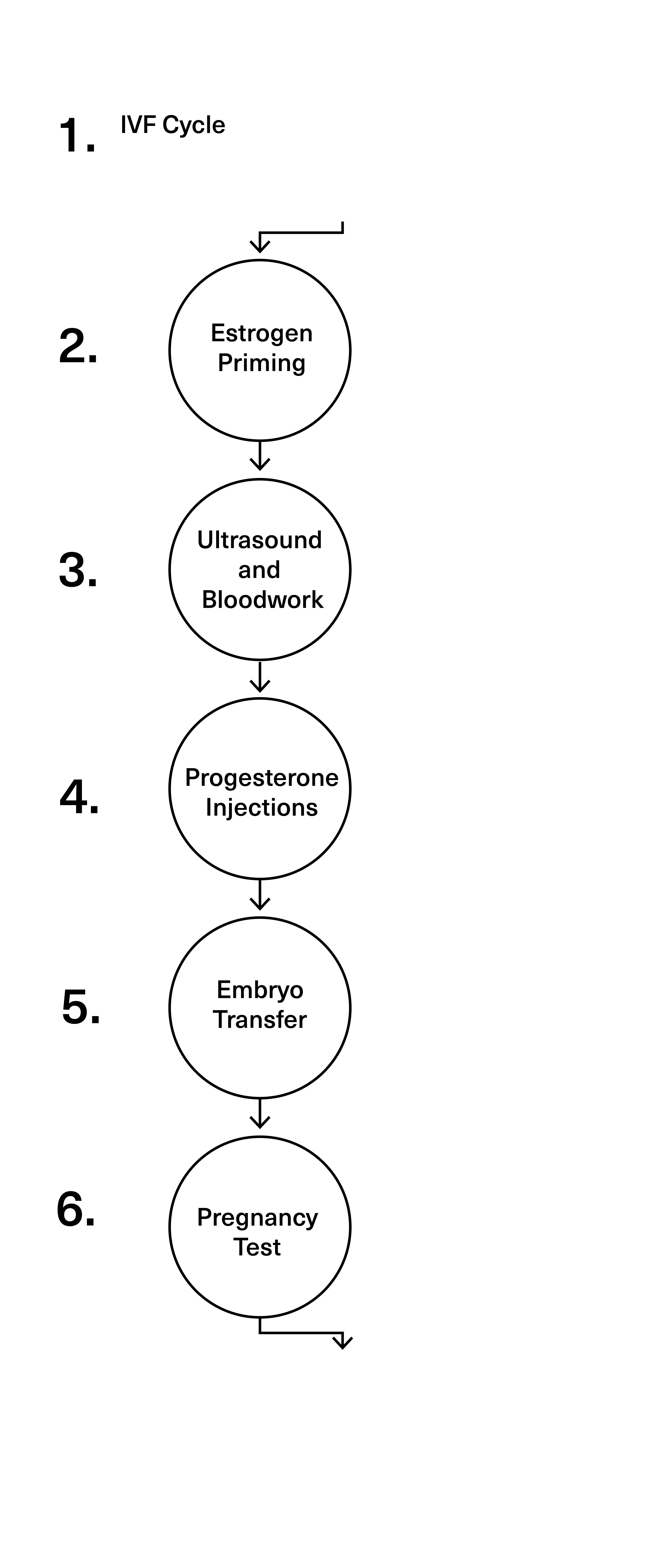Flowchart showing six steps of support calls: Free Intake Call, Kick Off Call, Progress Check-in Call, Injection Support Call, Pre-transfer Check-in Call, Check-in to Discuss Results, ending with Wrap up Call.