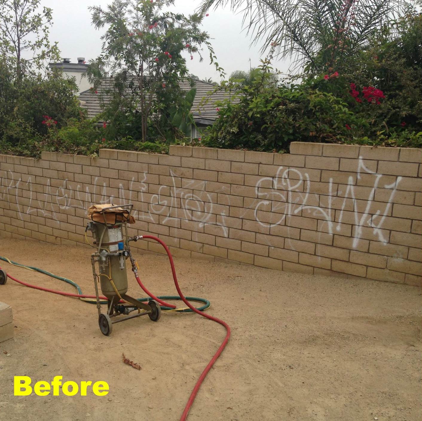 Graffitied wall with garden sprayer and hoses in dusty outdoor area