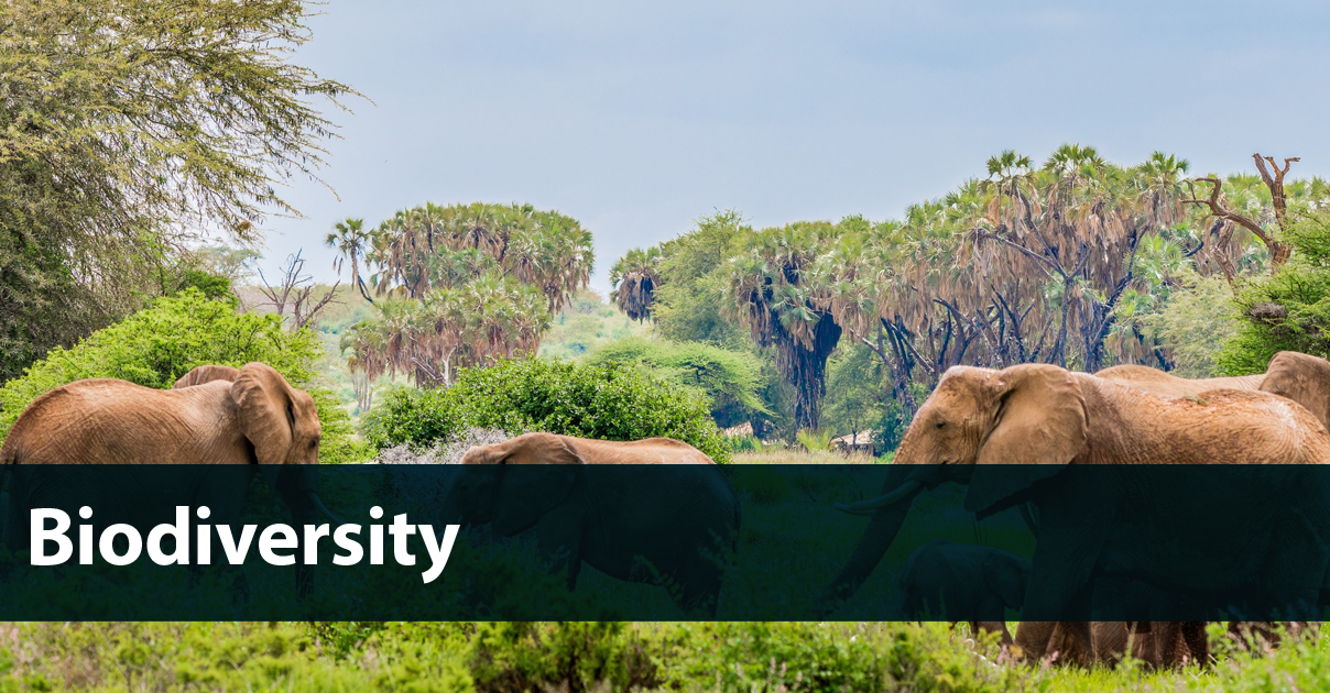Biodiversity