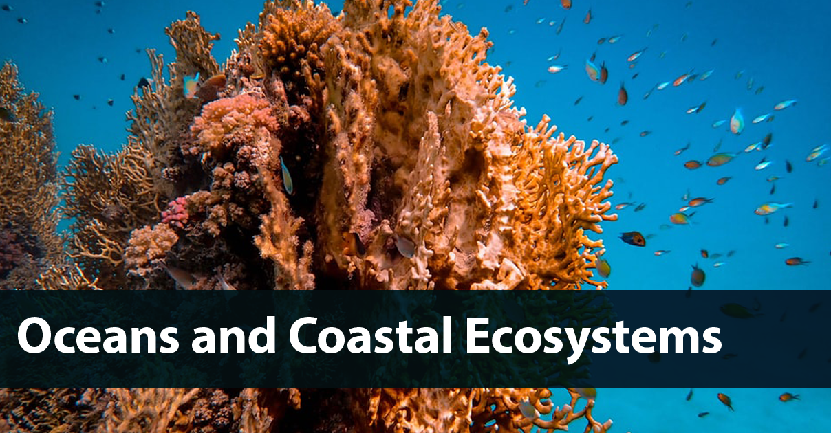 Oceans and Coastal Ecosystems