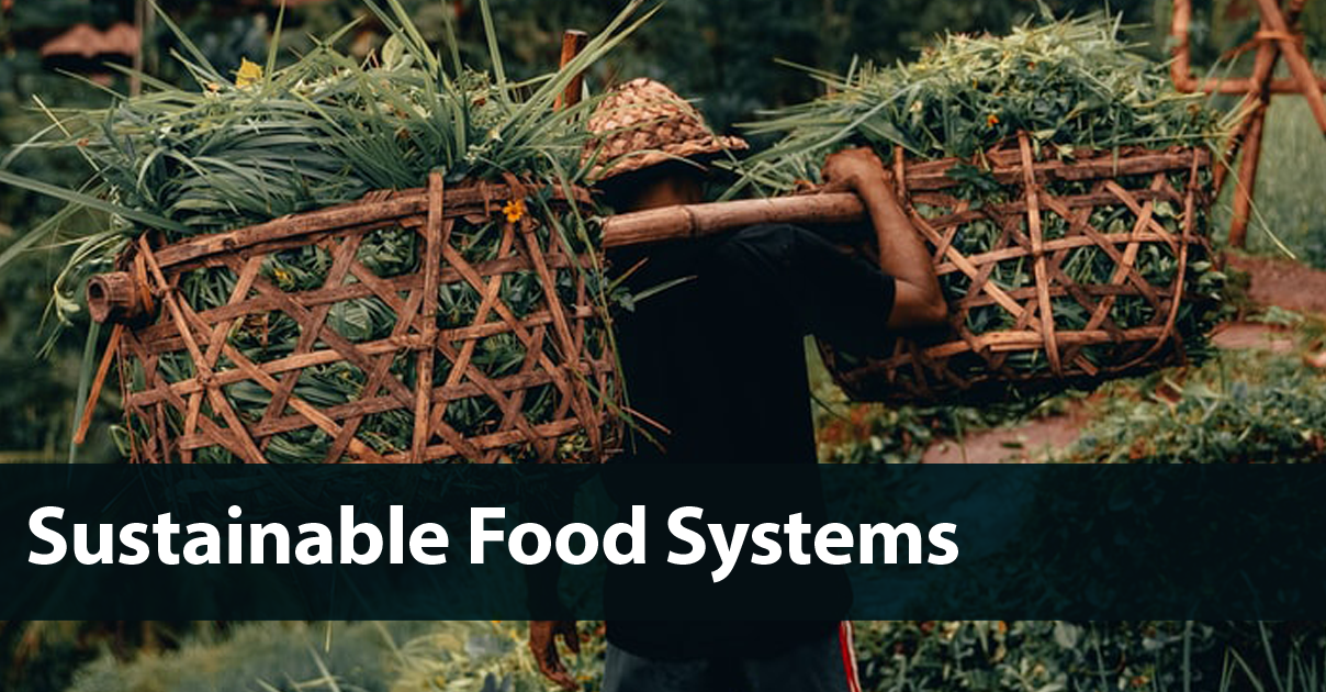 Sustainable Food Systems