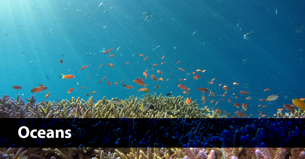 Oceans and Coastal Ecosystems