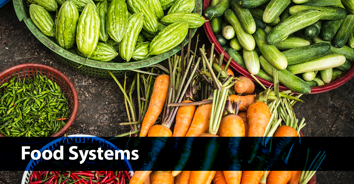 Sustainable Food Systems