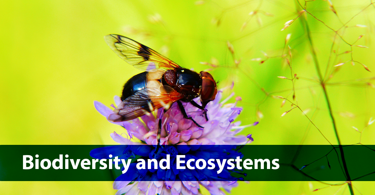 Biodiversity