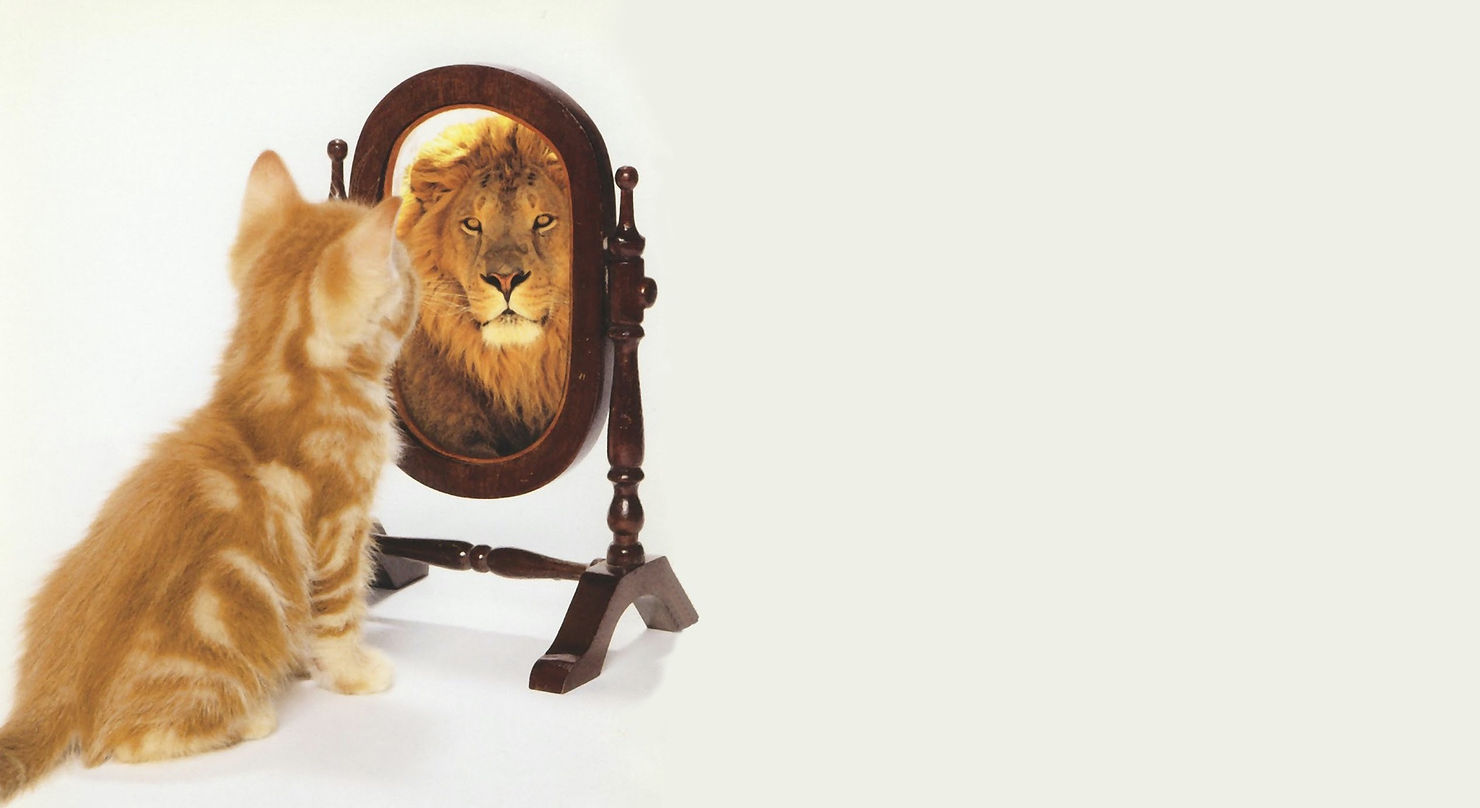 The first step involves creating awareness about the four circles, independently.