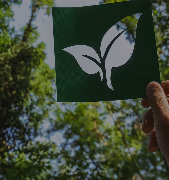 Mano sosteniendo un cartel verde con el símbolo de una hoja blanca frente a un fondo de árboles y cielo.