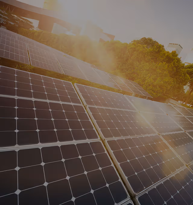 Paneles solares instalados al aire libre con árboles y luz solar brillante.