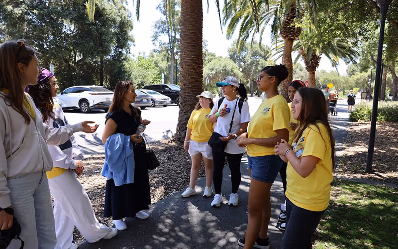 Group of people standing on a sidewalk under palm trees, engaged in conversation on a sunny day.