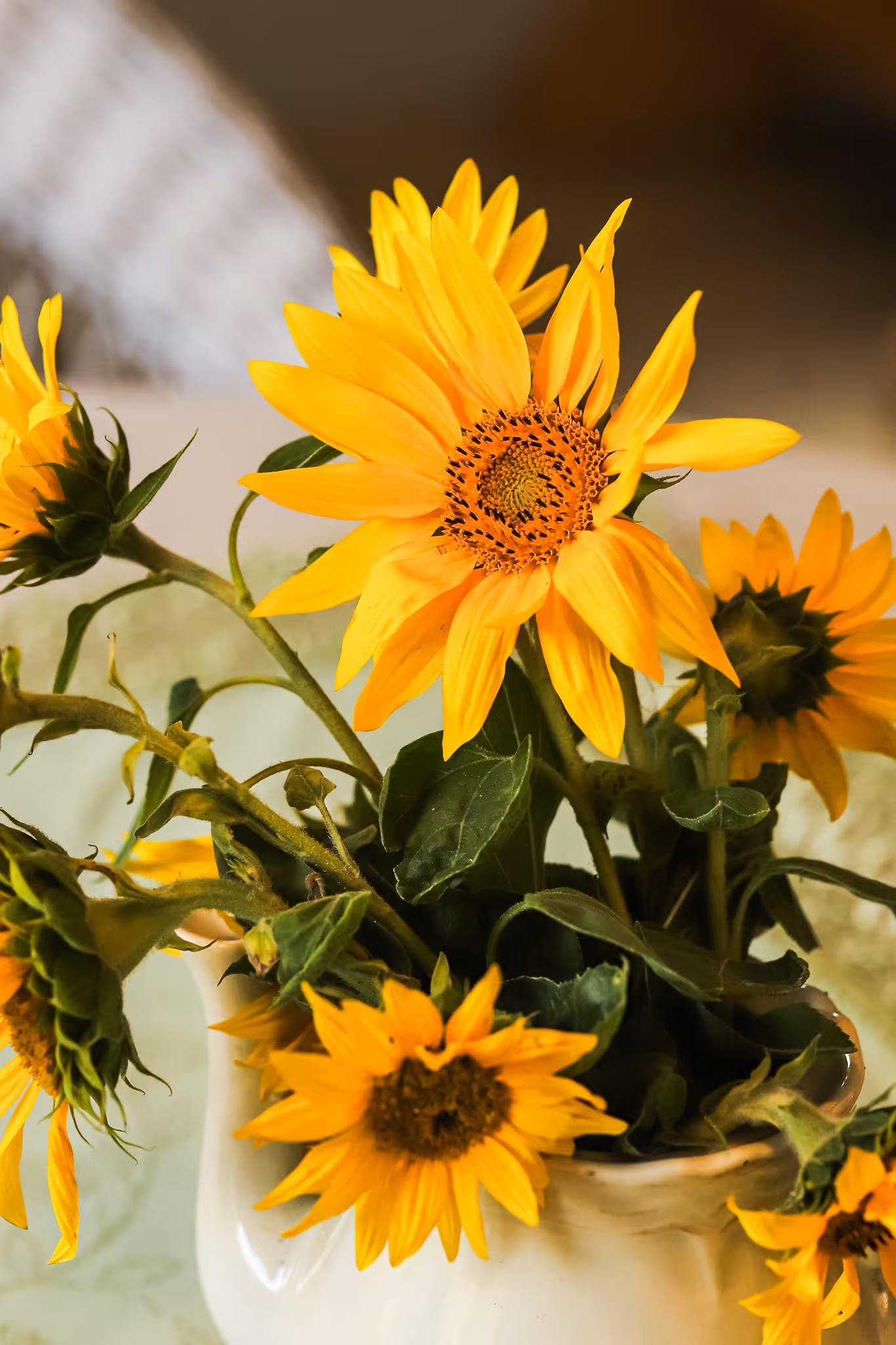 Wnętrze Domku Bednarzówka