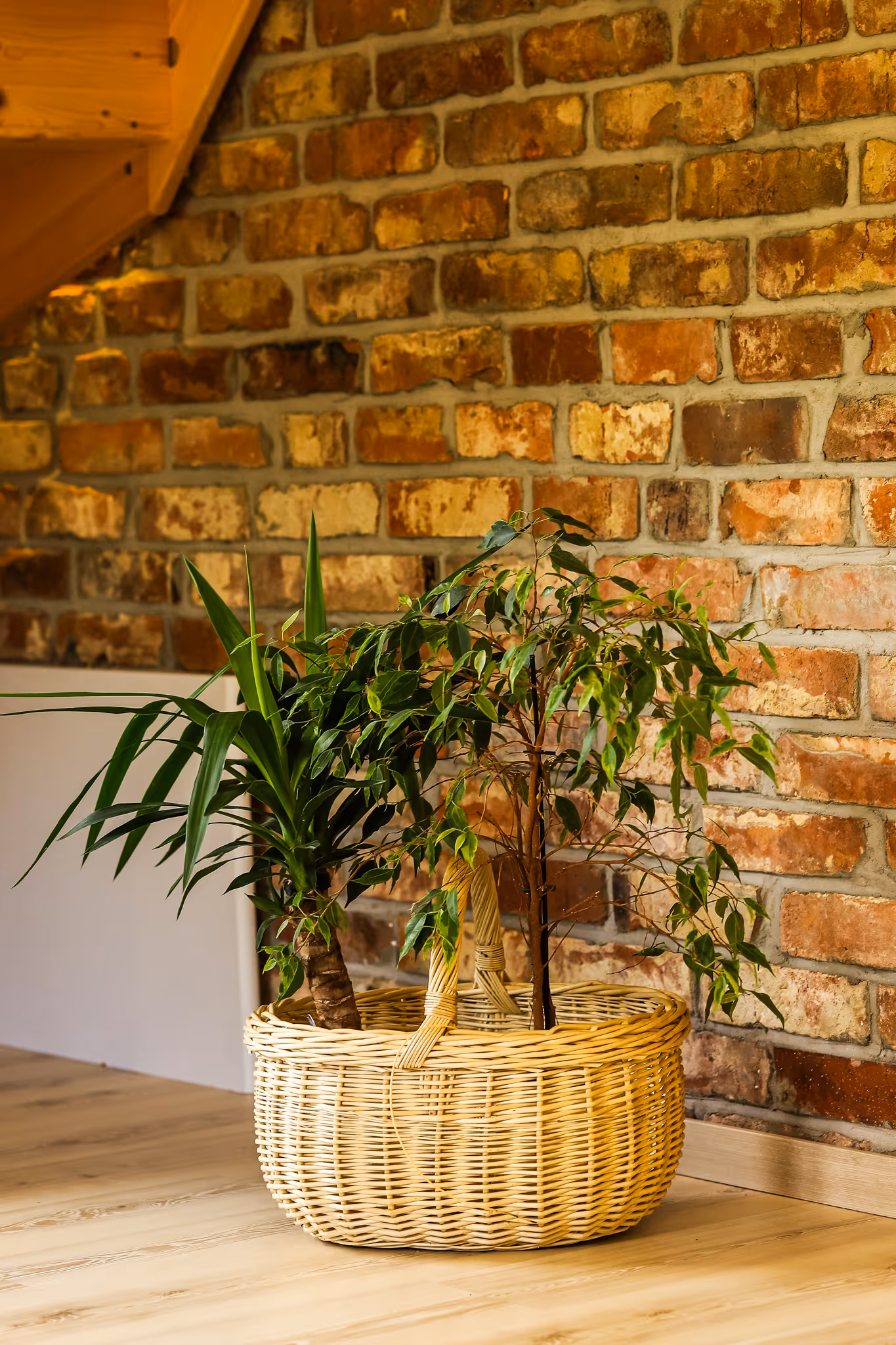 Dwie zielone rośliny doniczkowe w wiklinowym koszu na drewnianej podłodze na tle ściany z cegły.