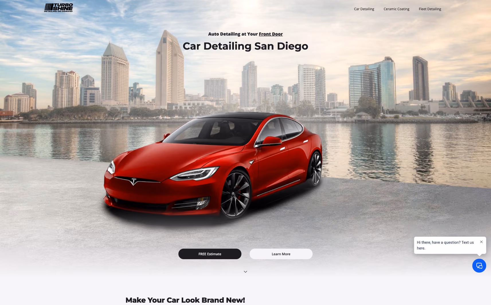 Red Tesla car parked by waterfront with San Diego city skyline in the background, promoting car detailing services.