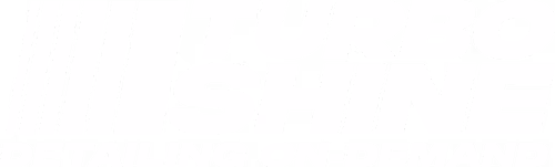 Turbo Shine logo with stylized vertical lines and bold text, featuring the tagline 'Detailing On-Demand'.