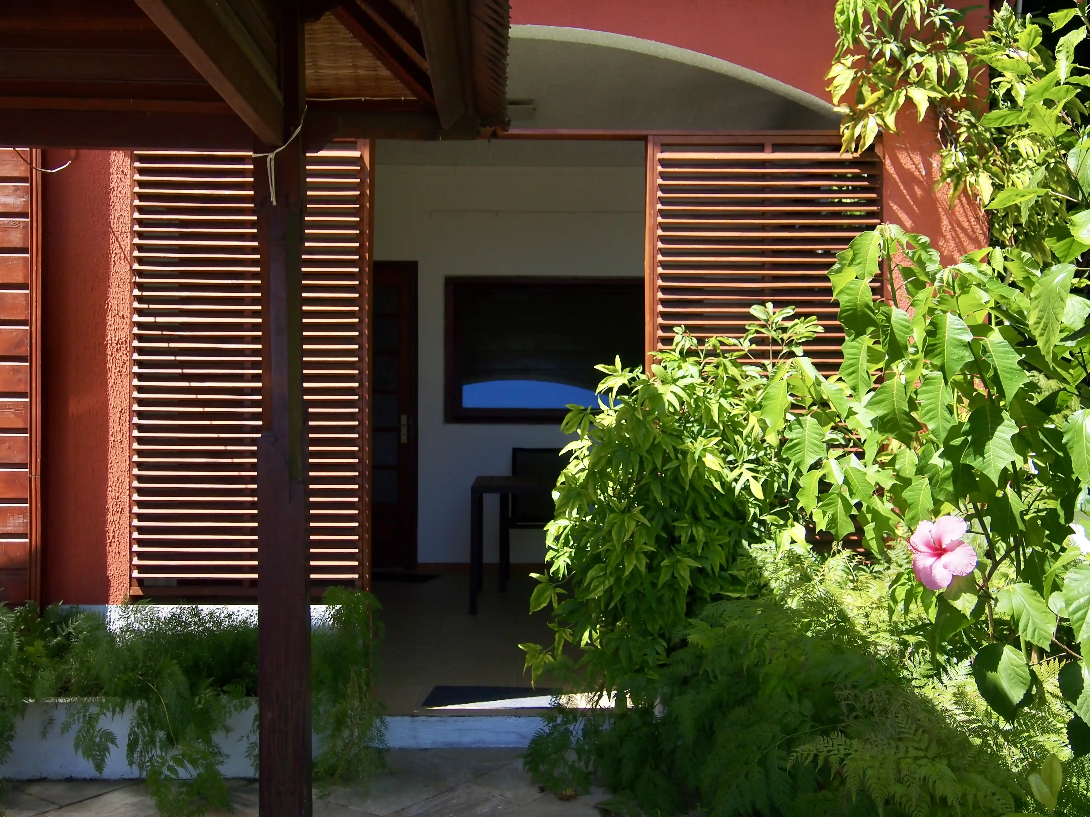 Entrance of a house with open wooden shutters, lush green plants, and a pink hibiscus flower in sunlight.
