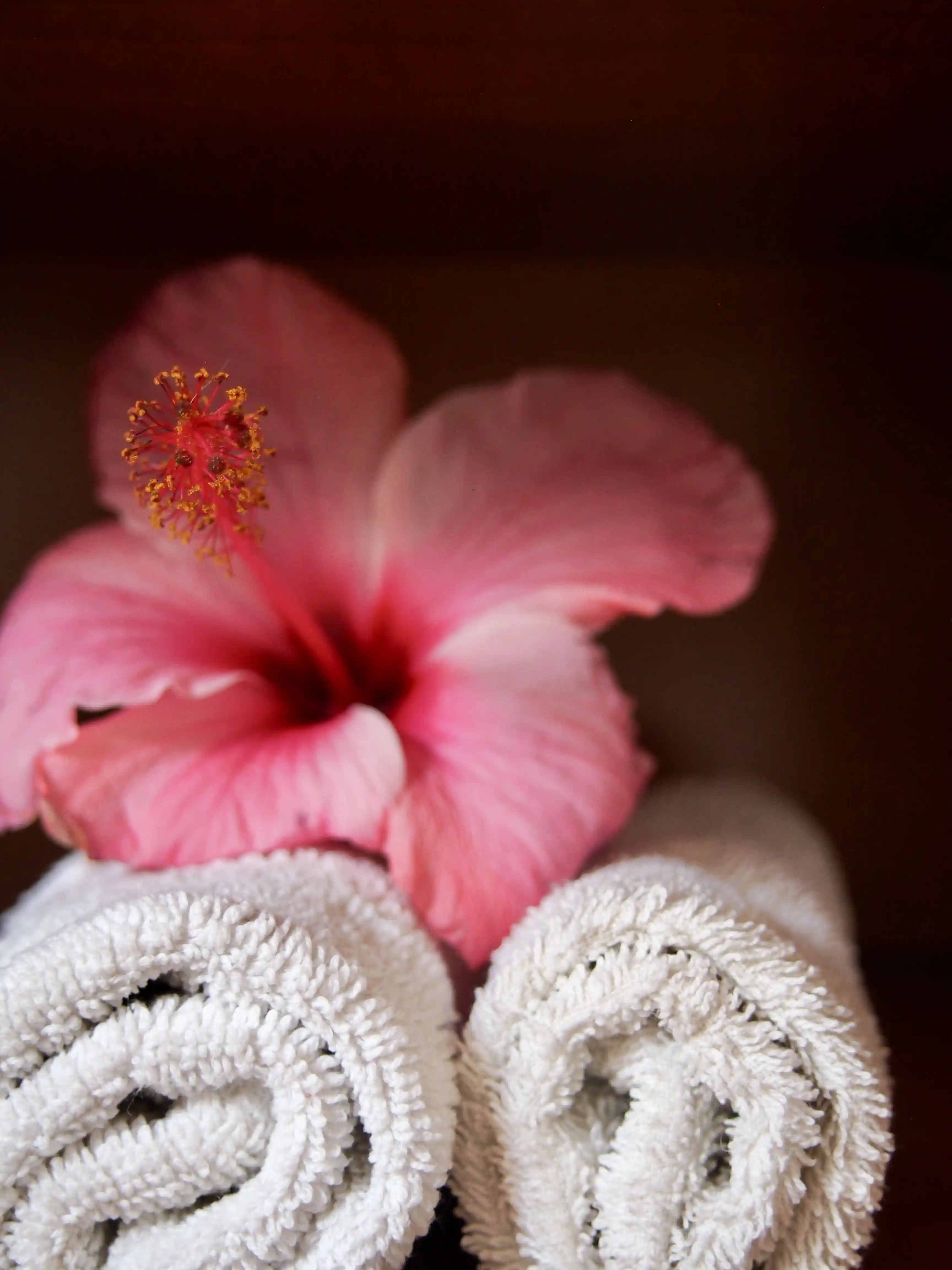 Two rolled white towels with a pink hibiscus flower placed on top.