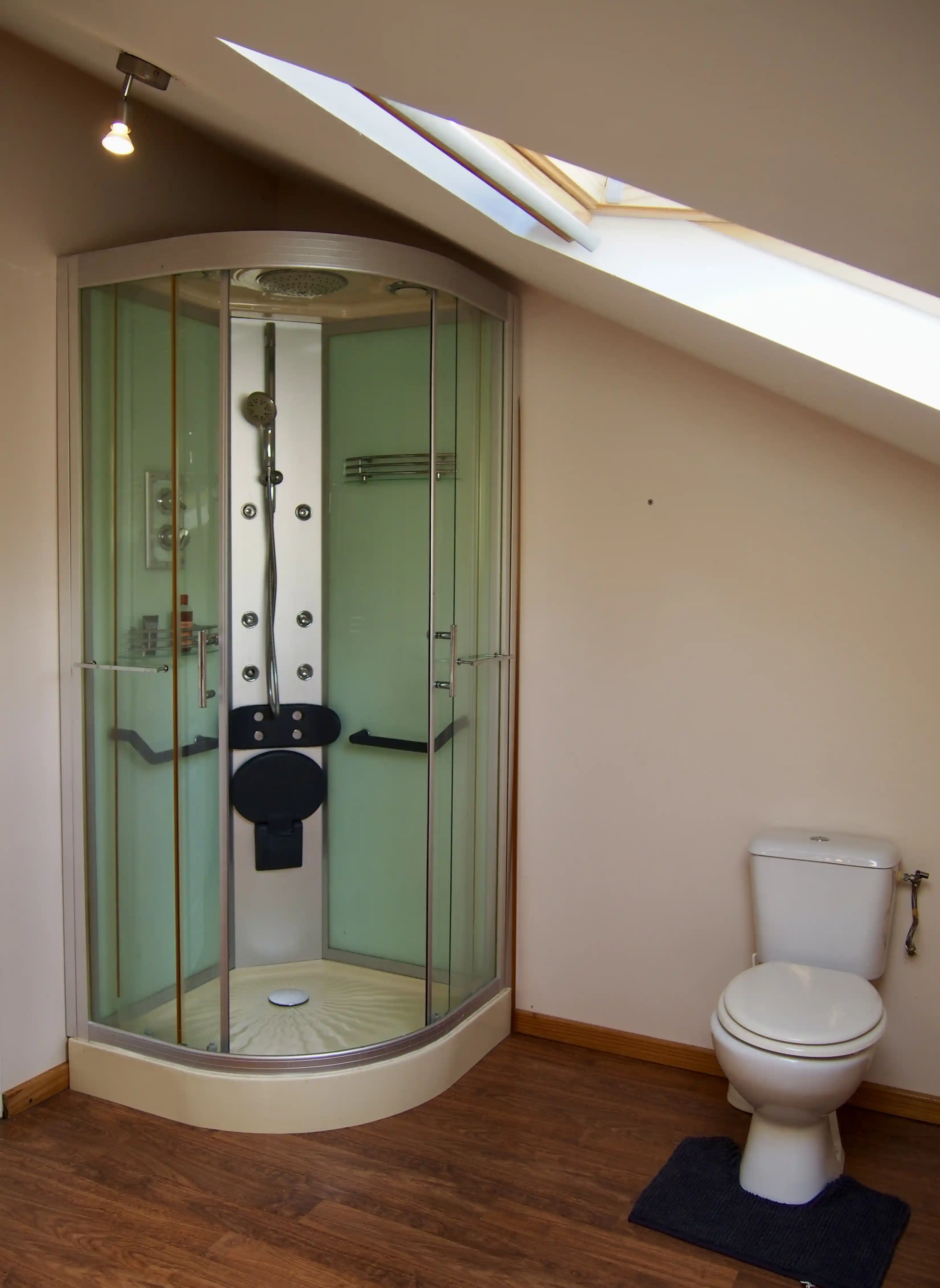 Modern corner shower enclosure with glass doors next to a white toilet in a bathroom with wooden floor and skylight.