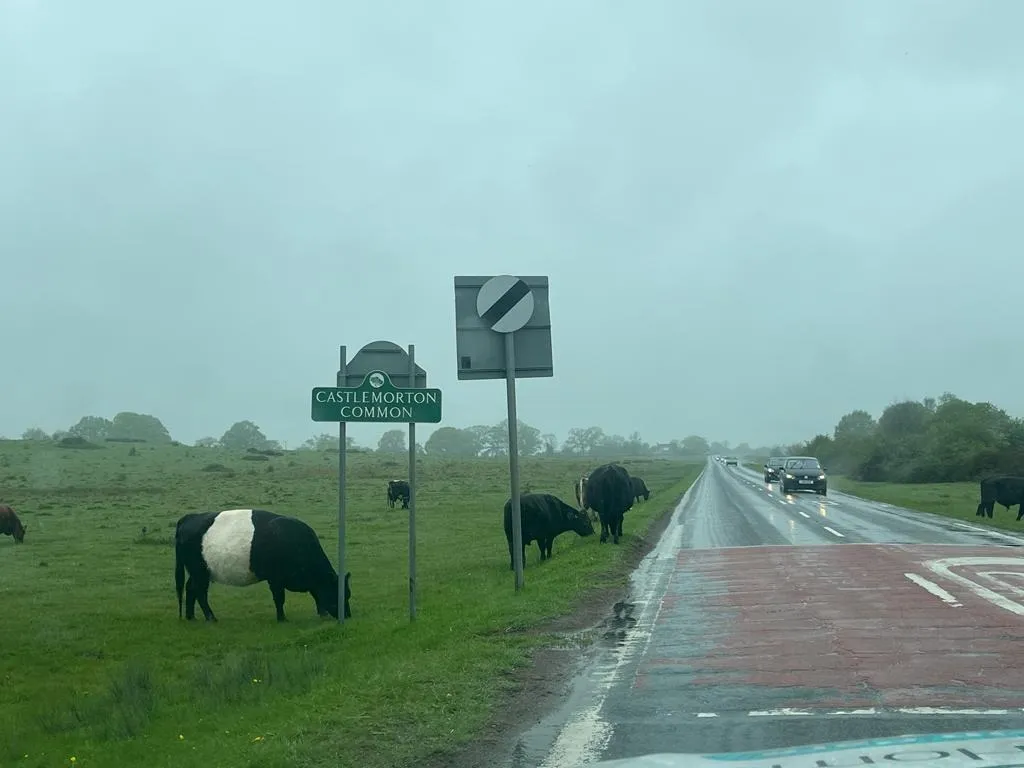 things about home care