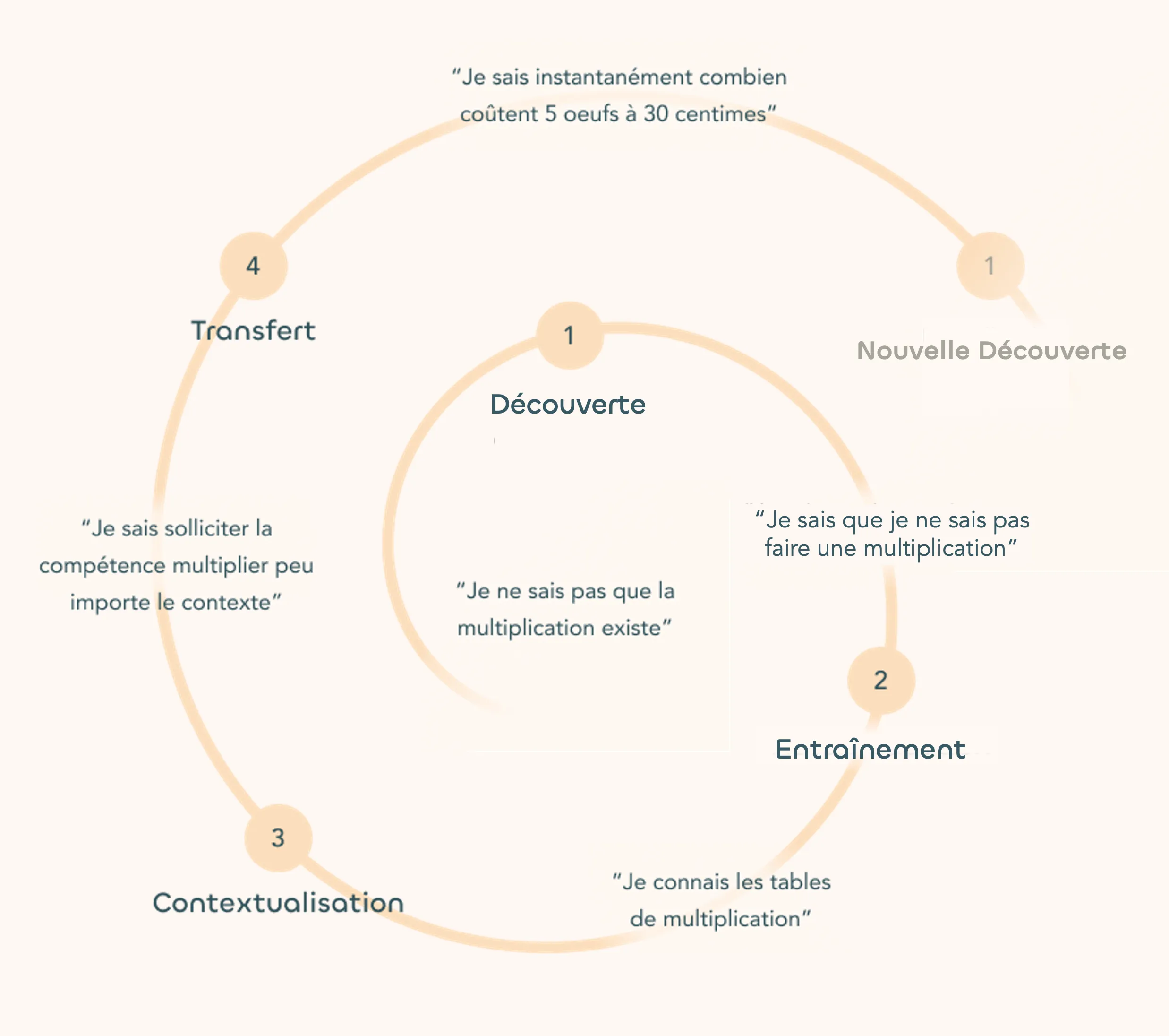 Les 4 phrases de l'apprentissage
