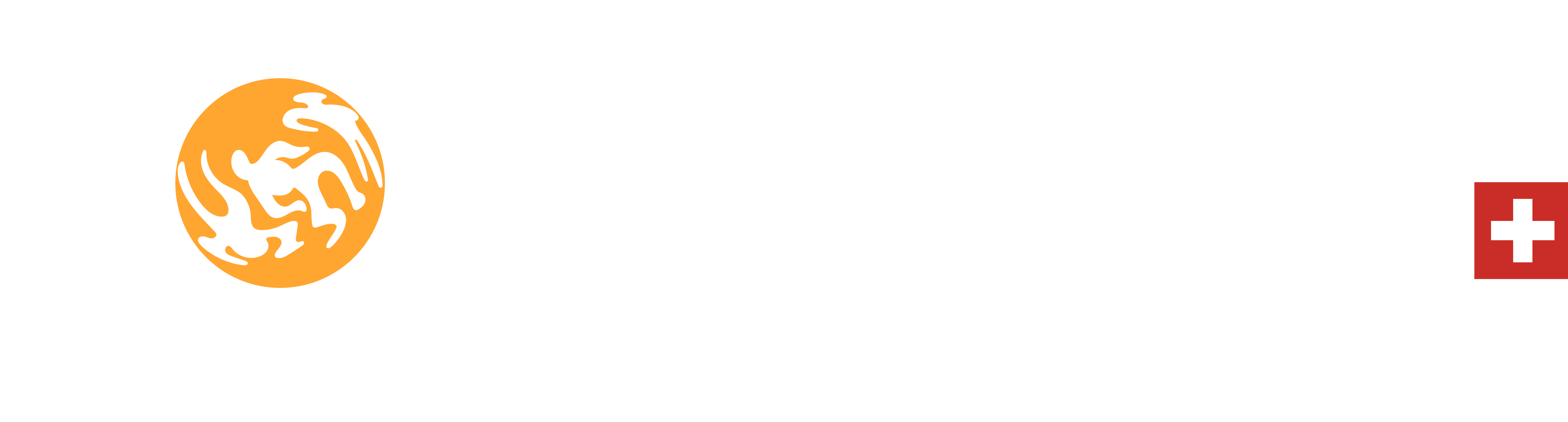 Logo mit dem Schriftzug TOGETHER und einem orangen Kreis mit stilisierten Händen als O, dazu der Satz 'Hilfe für Indien' und ein Schweizerkreuz.