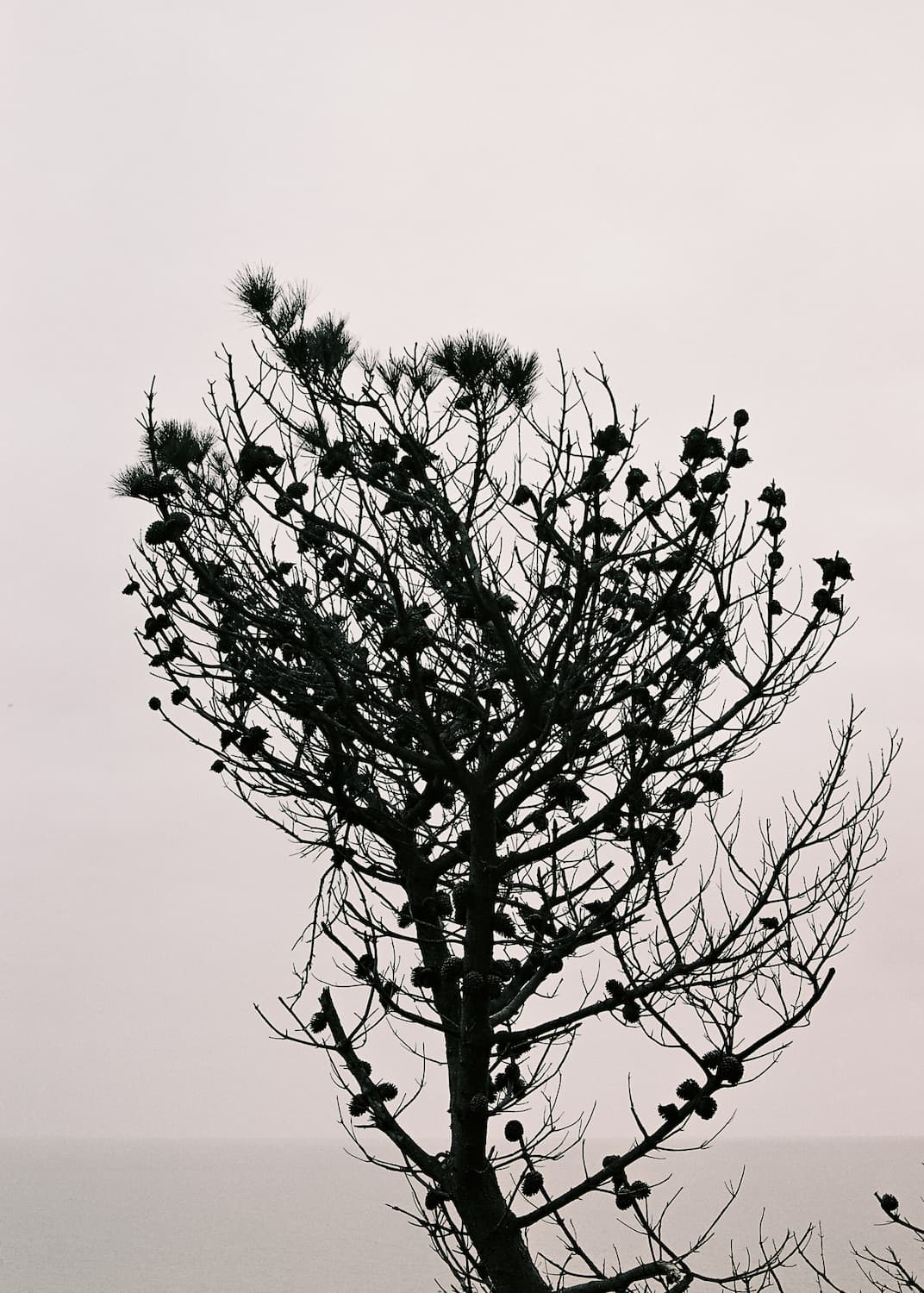 Still 13