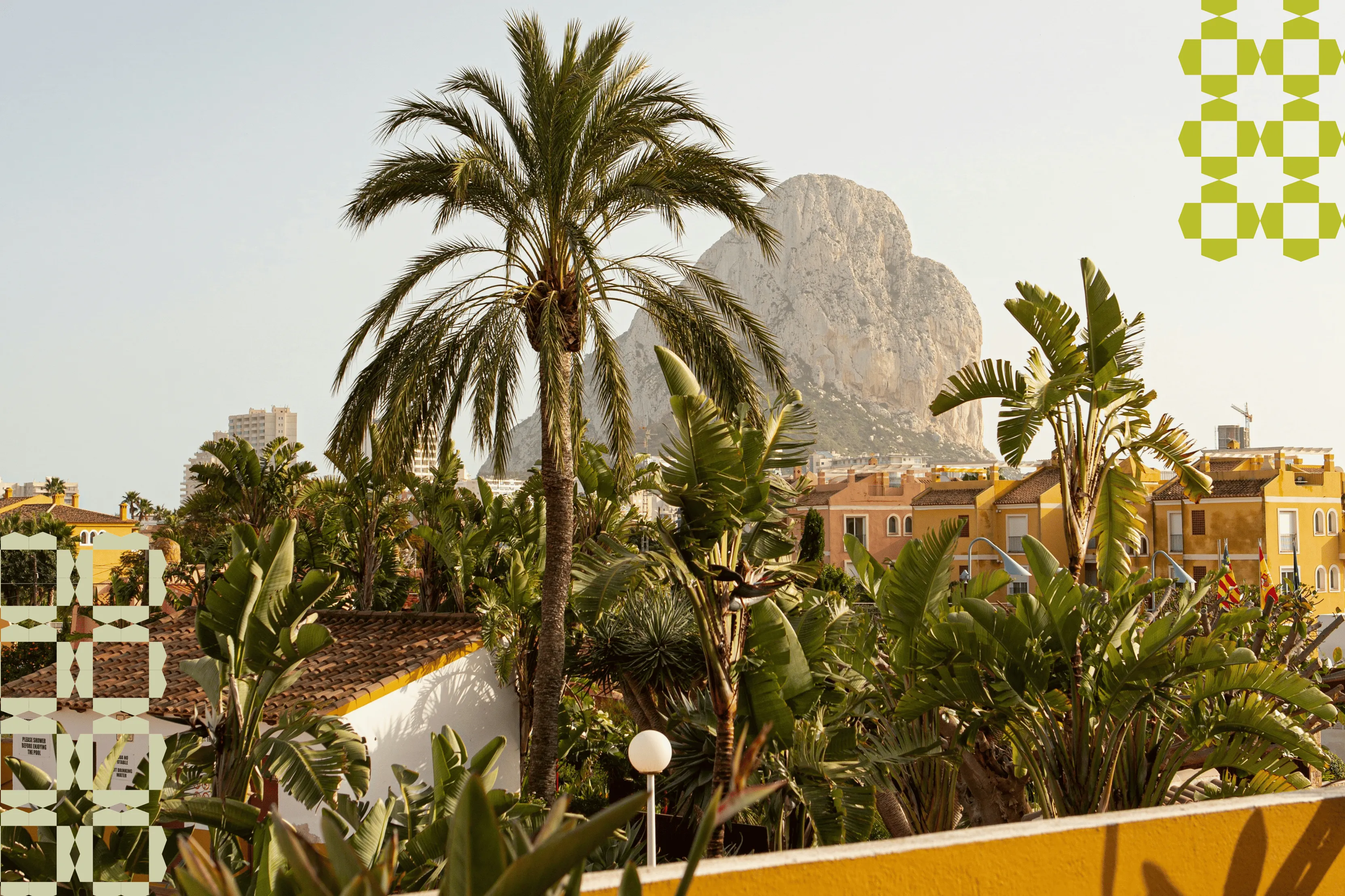 View of tropical palm trees and leafy plants in a sunny town with yellow buildings and a large rocky mountain in the background.