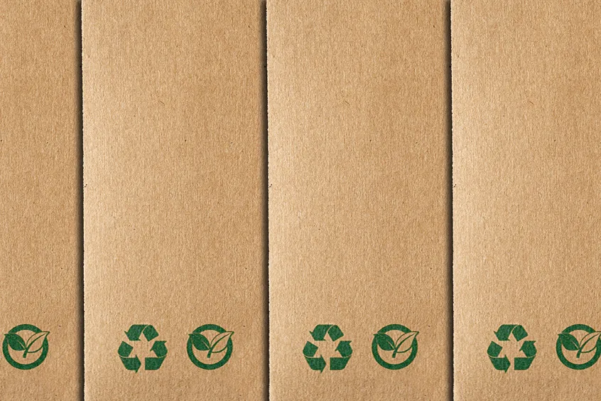 Three Ways to Embrace Sustainability in 2022 and Beyond