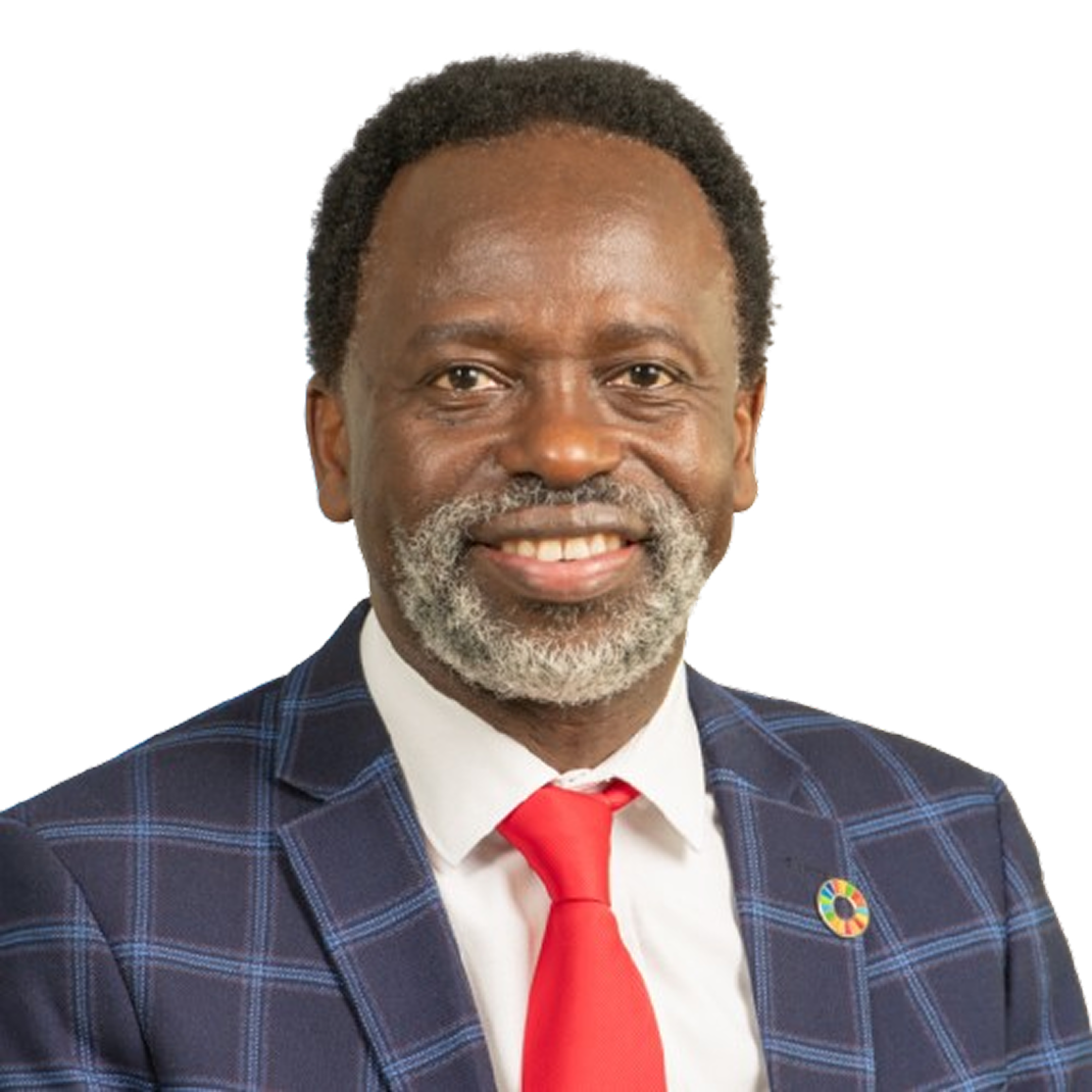 Tshilidzi Marwala
