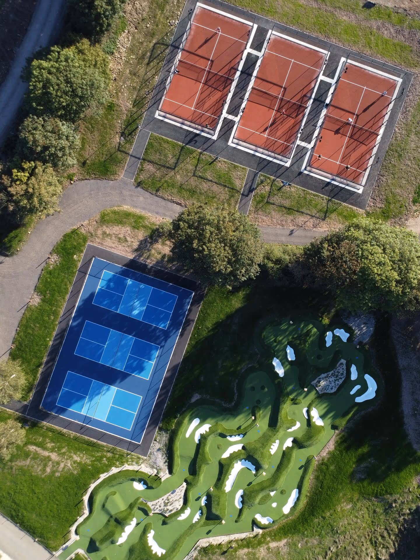 Mad Swans in The Mendips - pickleball 1.jpg