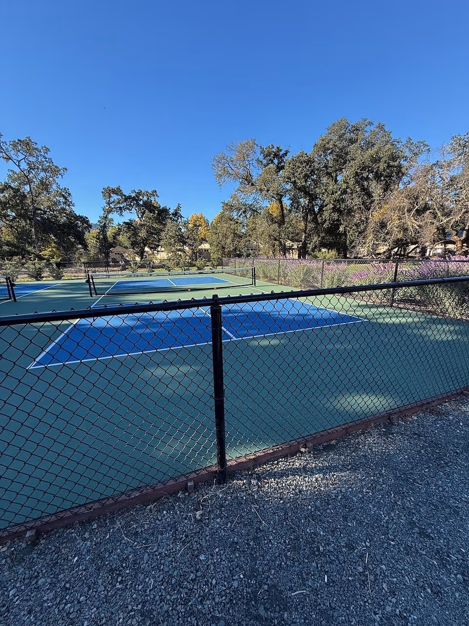 Solage-Auberge-Collection-USA-2-Calistoga-court1.jpg