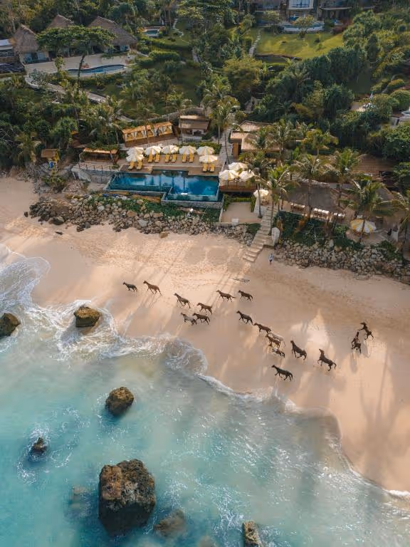 NIHI-Sumba-50-Best-Hotels-of-the-World-Indonesia-1-East-Nusa-Tenggara-property1.jpg