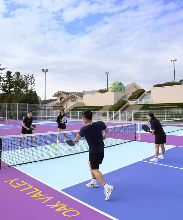 Oak-Valley-Resort-Valley-Village-South-Korea-Gangwon-court1.jpg