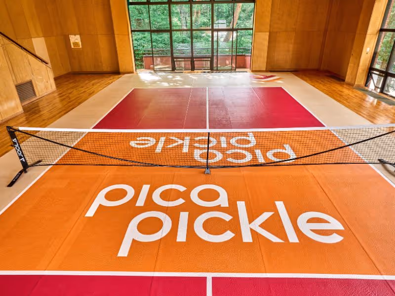 PICA-Fujiyama-Japan-1-Yamanashi-Prefecture-court1.jpg