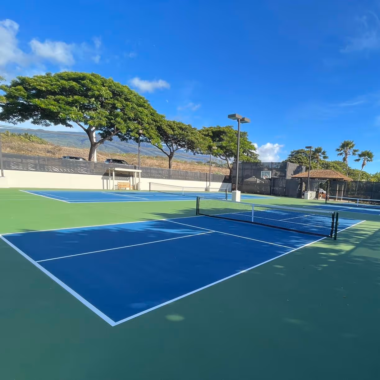 The-Westin-Ka'anapali-Ocean-Resort-Villas-USA-2-Hawaii-hero.jpg