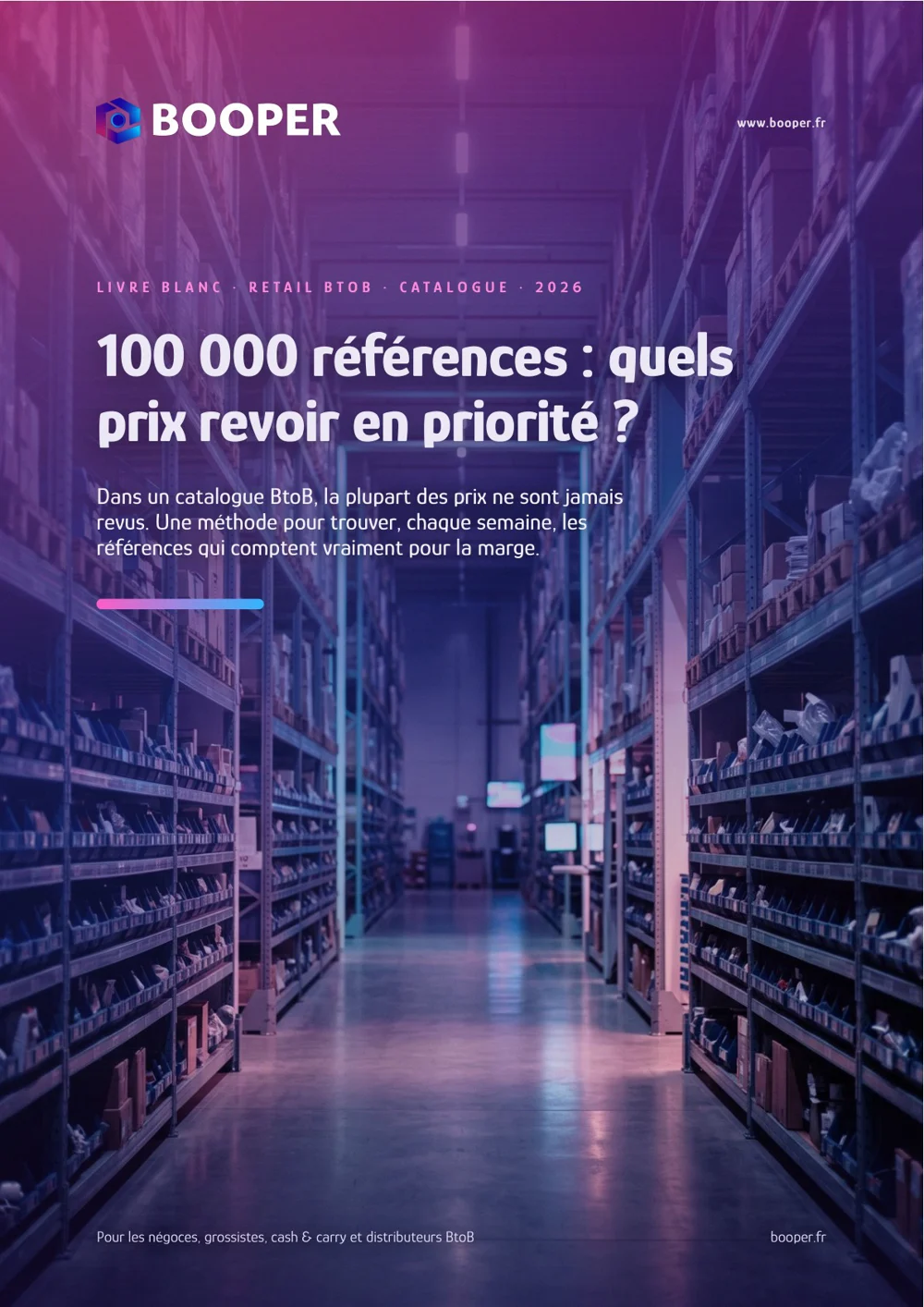 Titelbild des BOOPER-Whitepapers: 100.000 Artikel – welche Preise sollten vorrangig angepasst werden?