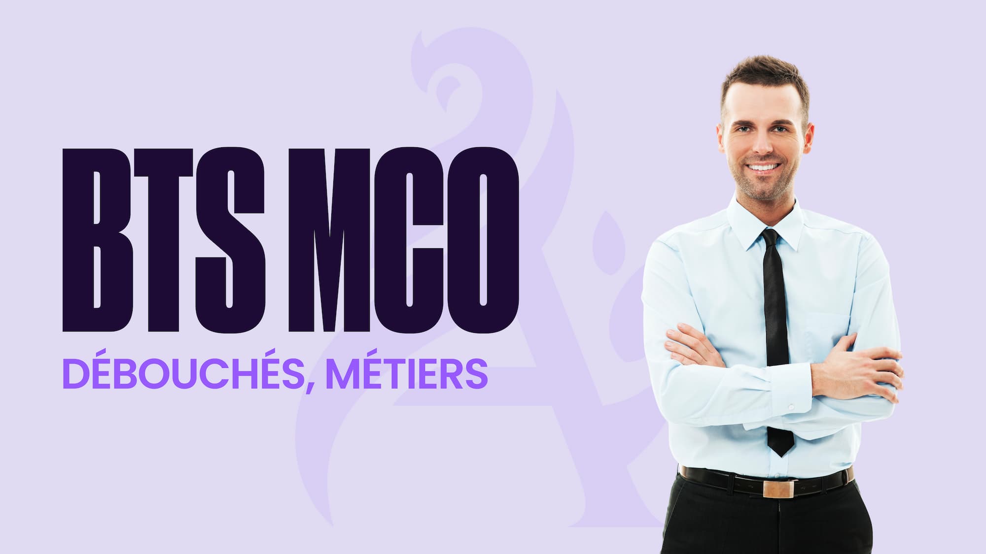 BTS MCO : Découchés, Métiers