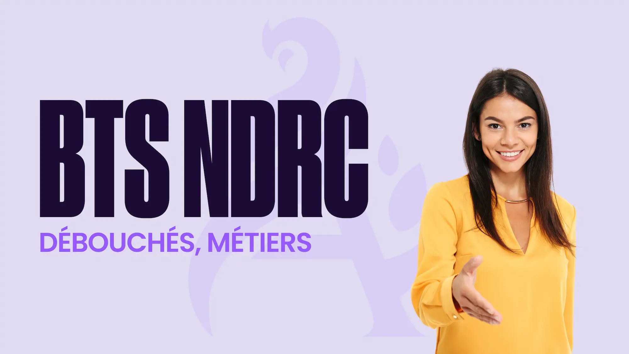 Débouchés BTS NDRC