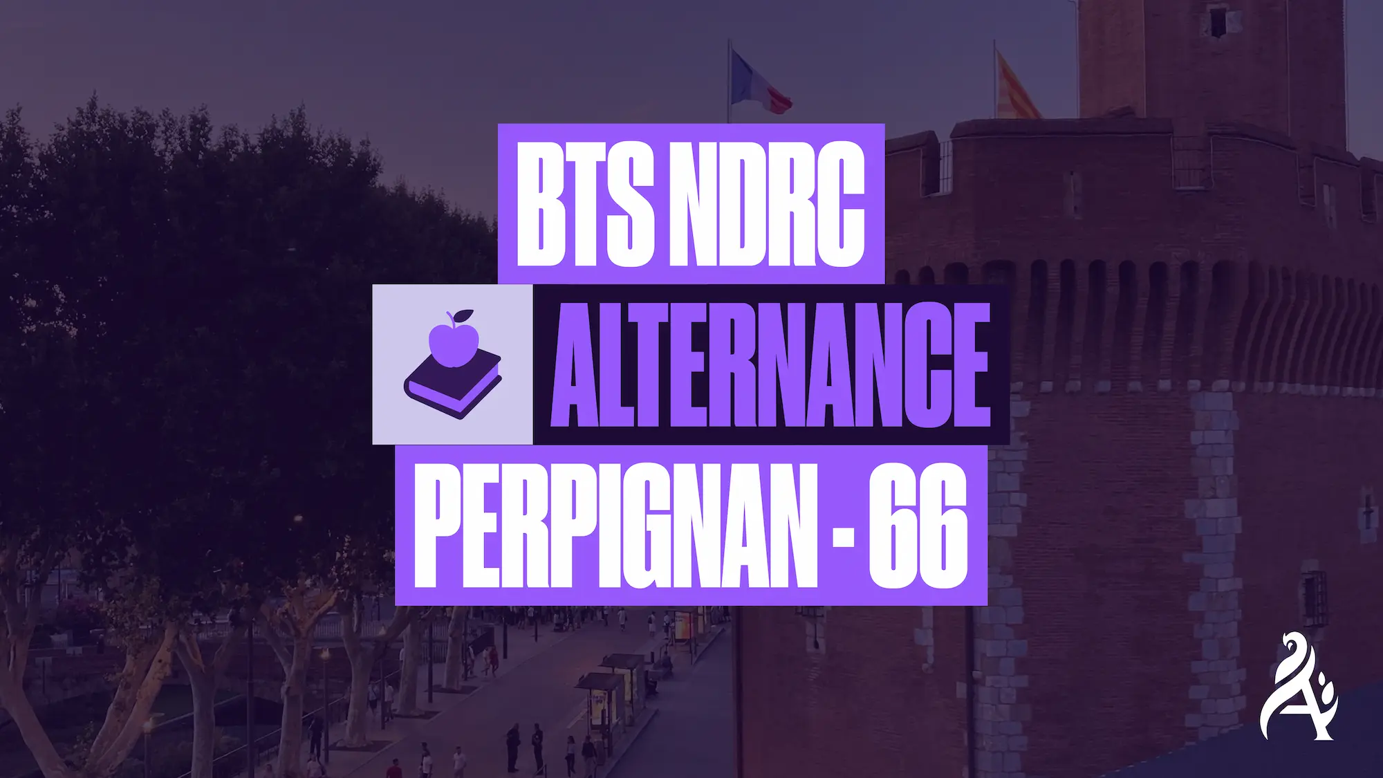 BTS NDRC à Perpignan en alternance