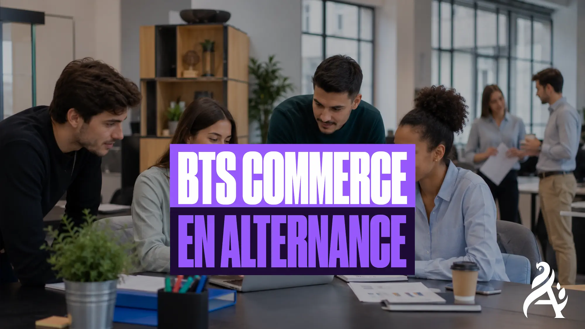 BTS commerce en alternance