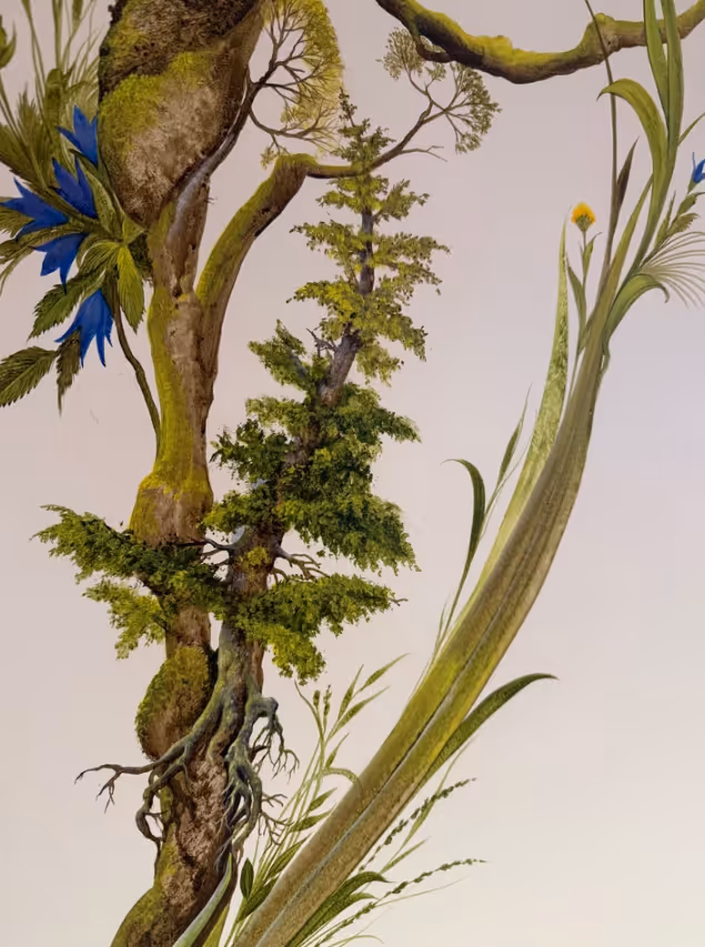 Amenities Gallery - Hotel Webflow Template