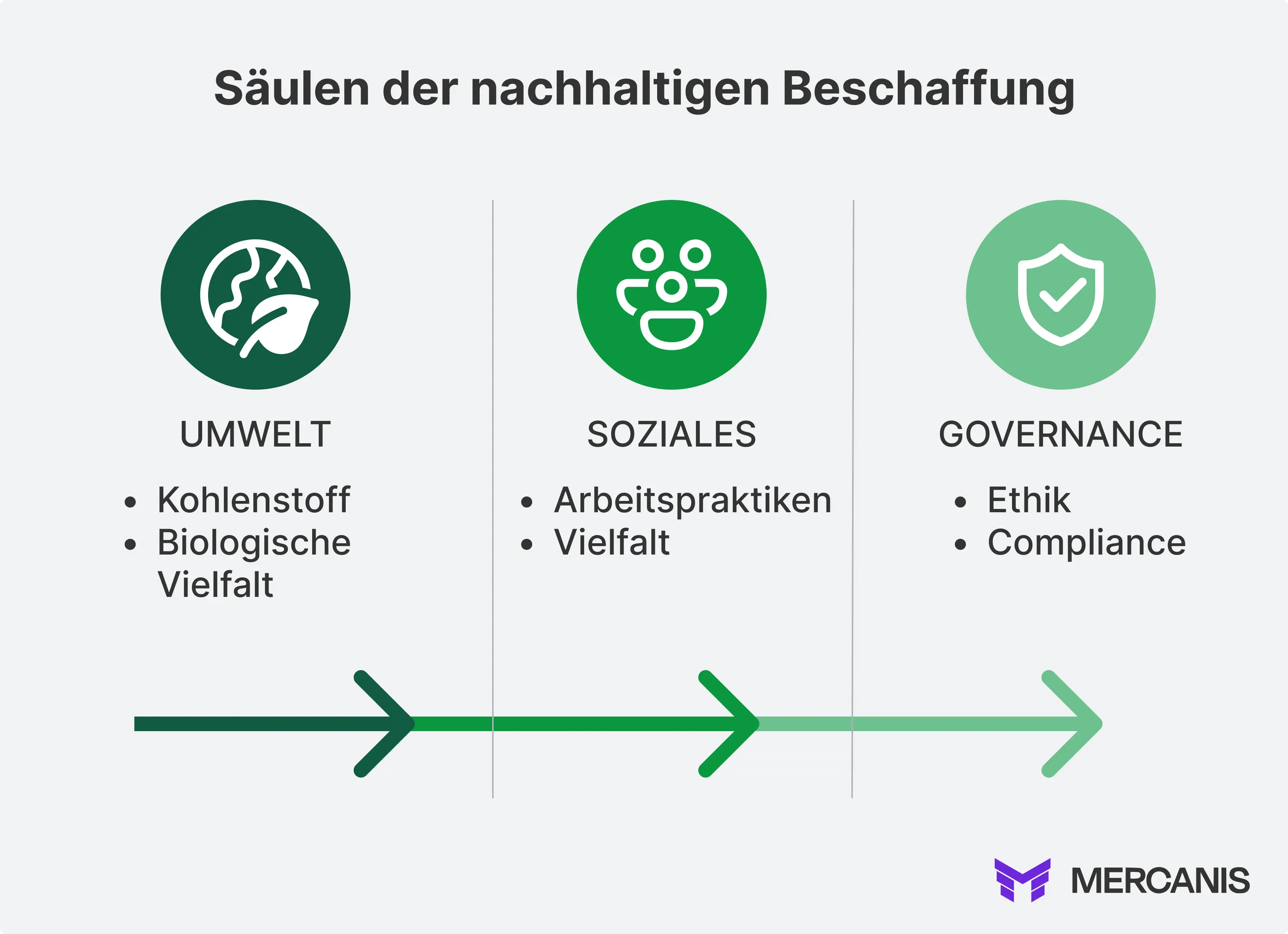 Grafik mit den Säulen der nachhaltigen Beschaffung