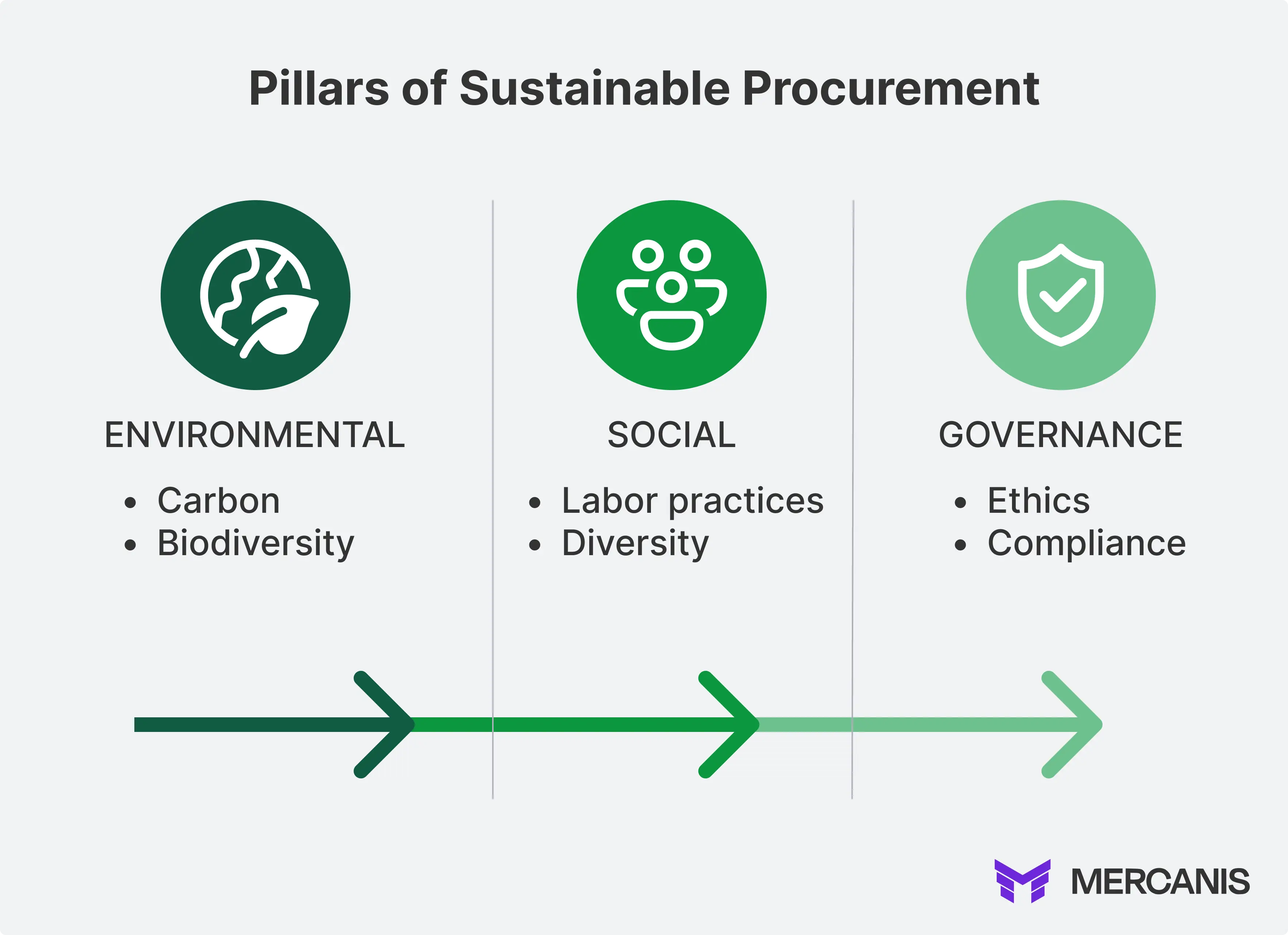 Graphic showing the pillars of sustainable procurement  