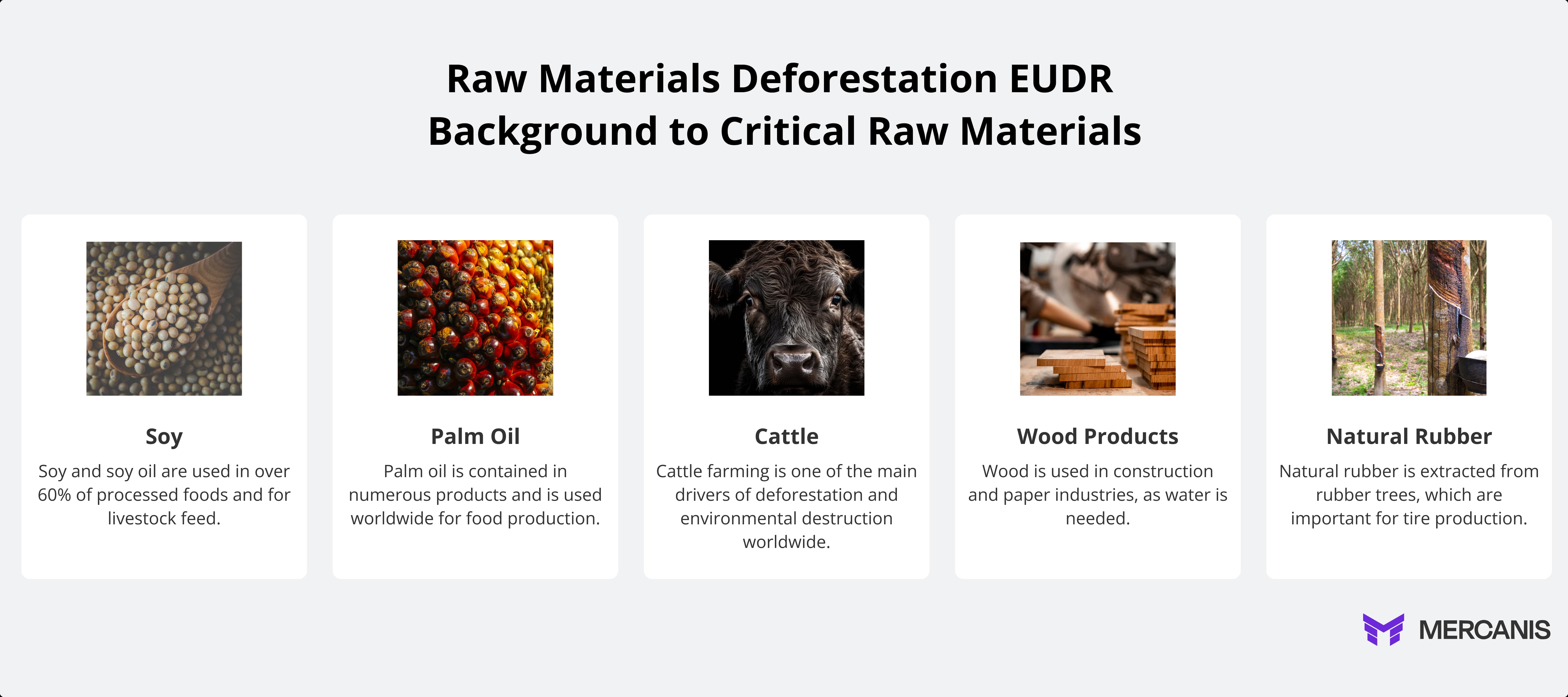Raw Materials deforestation EUDR Background to critical raw Materials