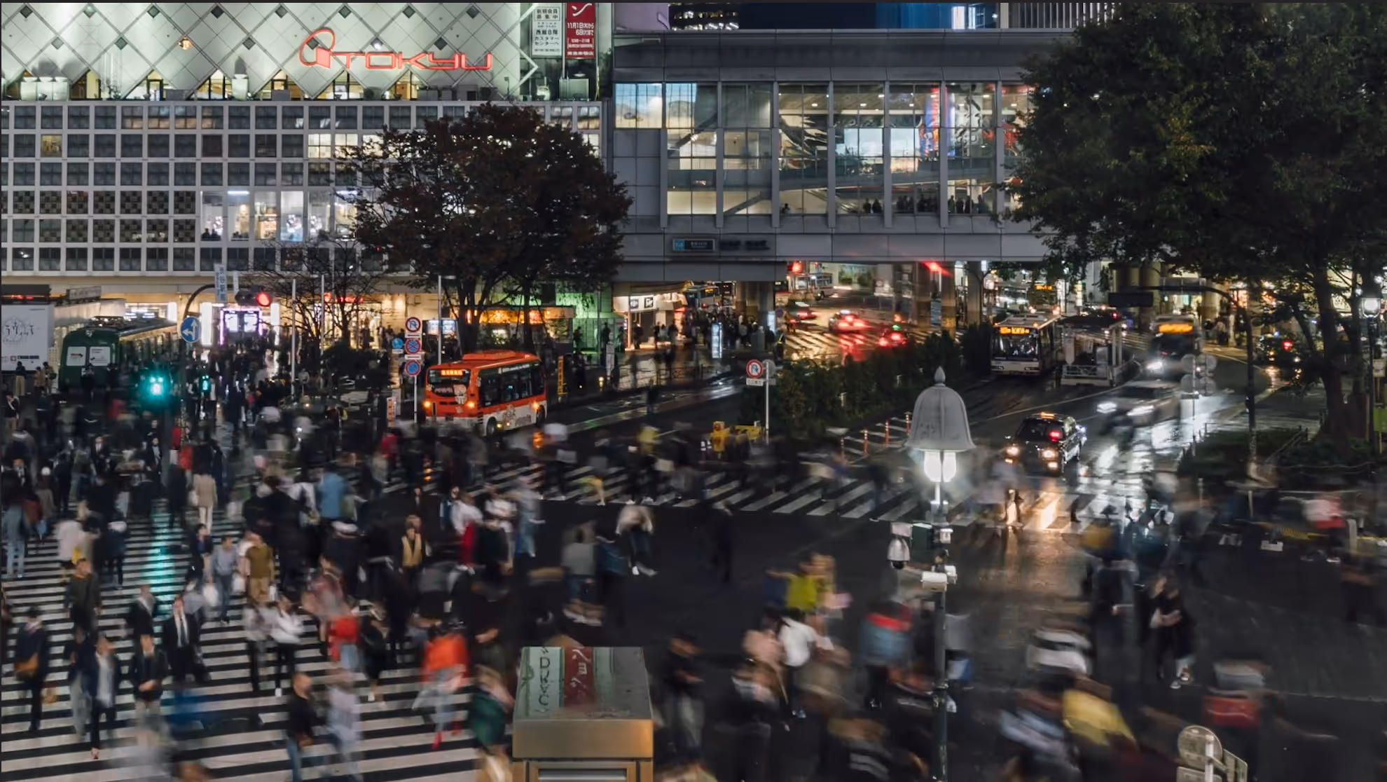 Empowering Procurement: InMarket's Journey to Efficiency with Levelpath