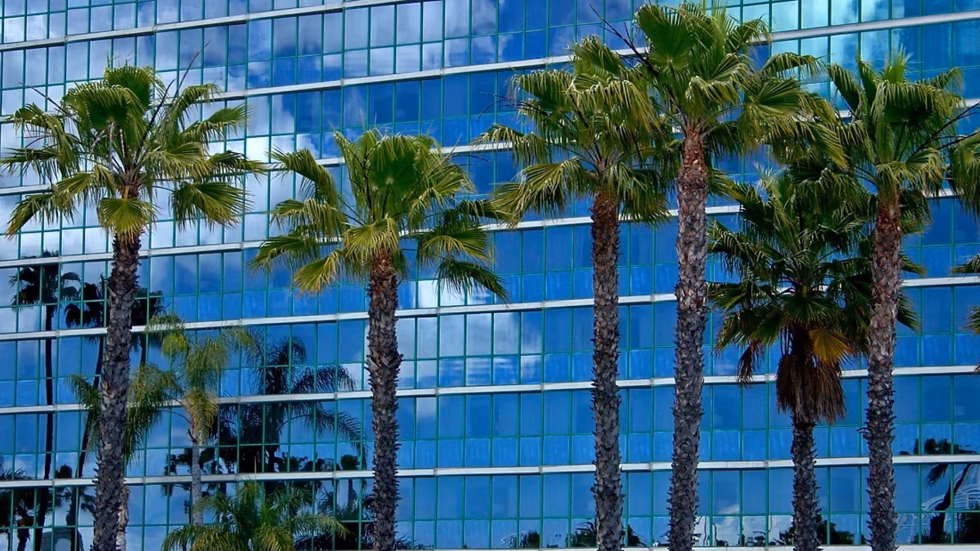 Transforming Procurement: InnovaCare Health’s Journey to Delight with Levelpath