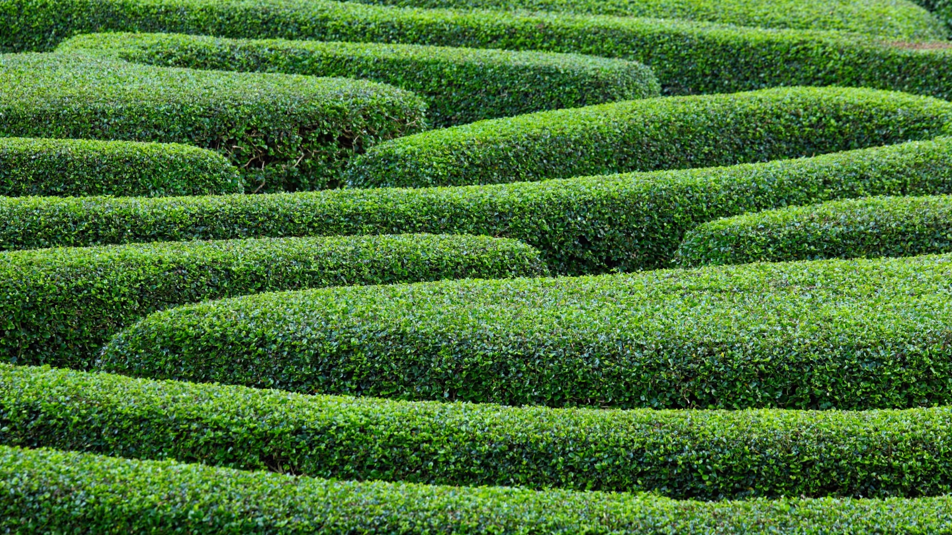 Simplify Procurement with a Universal Intake Process