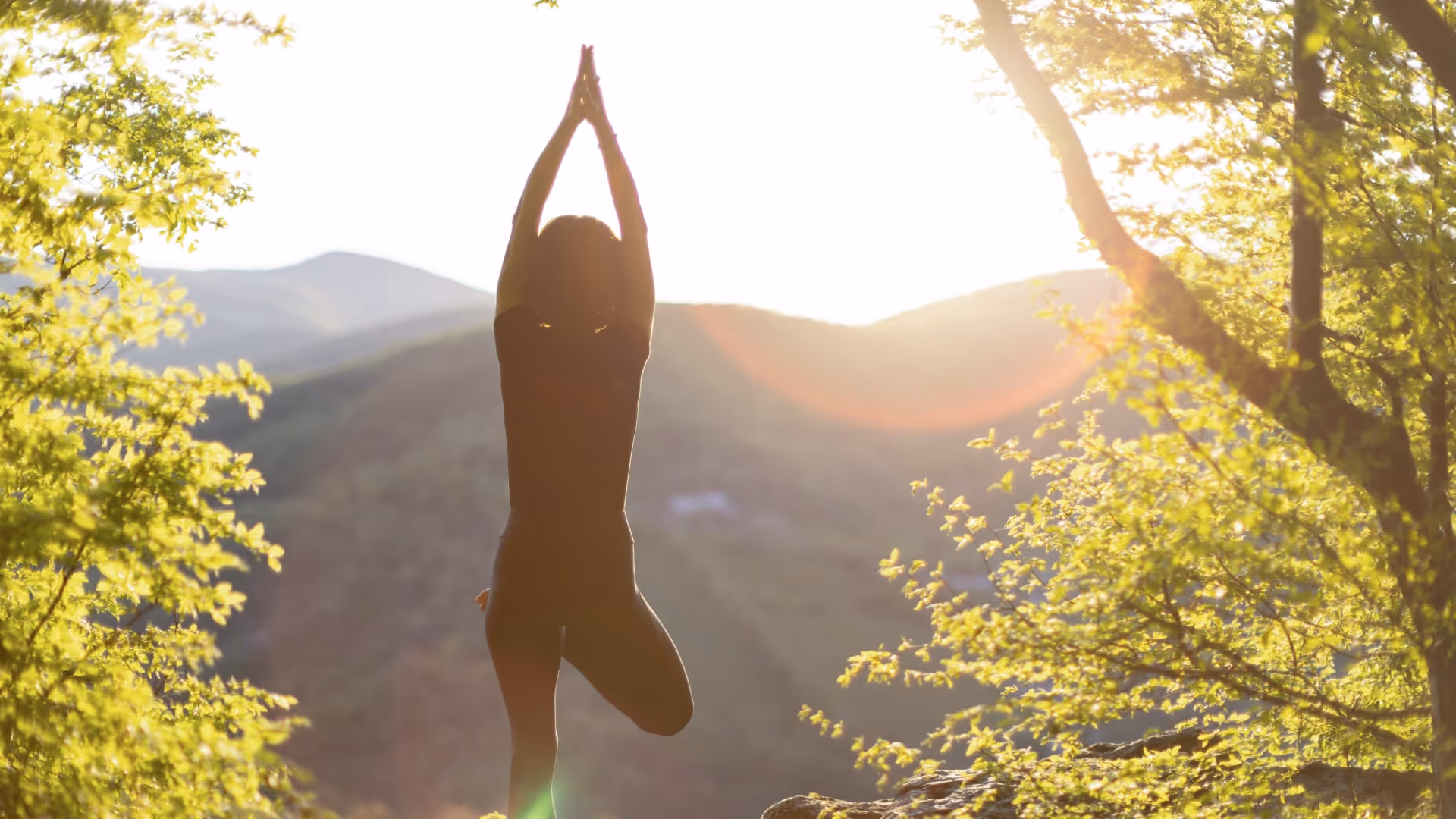 Making Procurement Simple: The Power of Less