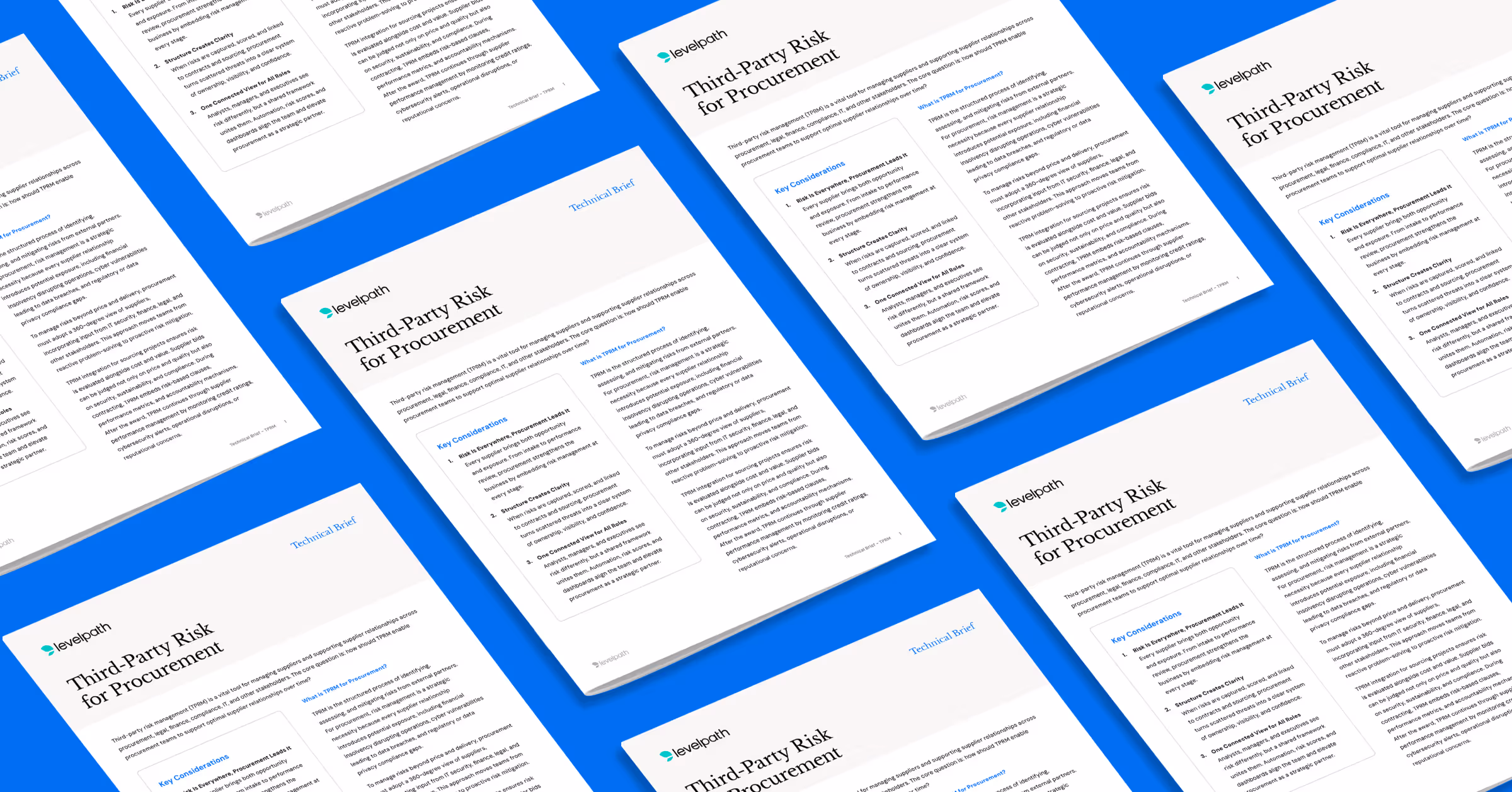 Third-Party Risk for Procurement PDF