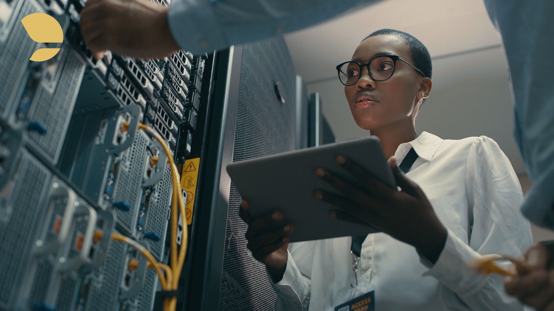 Enterprise Procurement Security: How IT and Procurement Build Trust