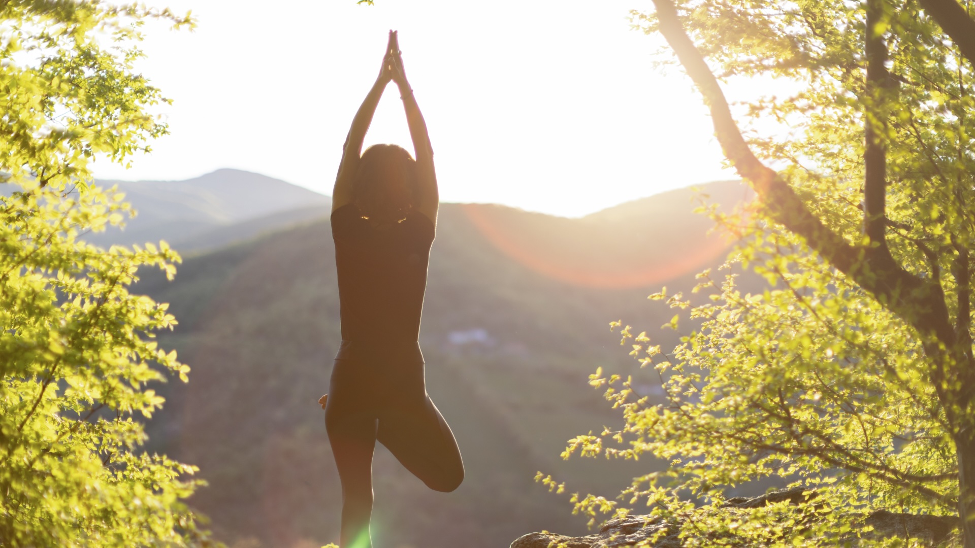 Making Procurement Simple: The Power of Less