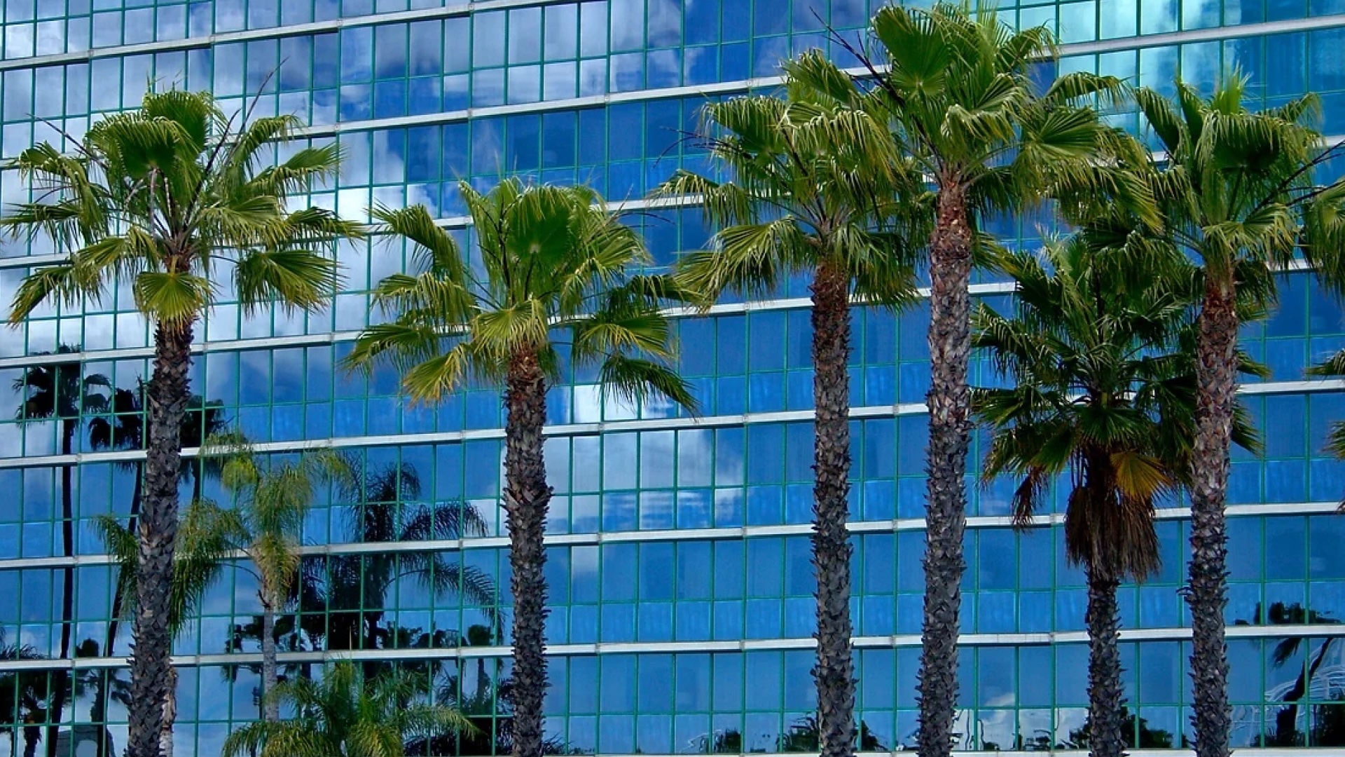 Transforming Procurement: InnovaCare Health’s Journey to Delight with Levelpath